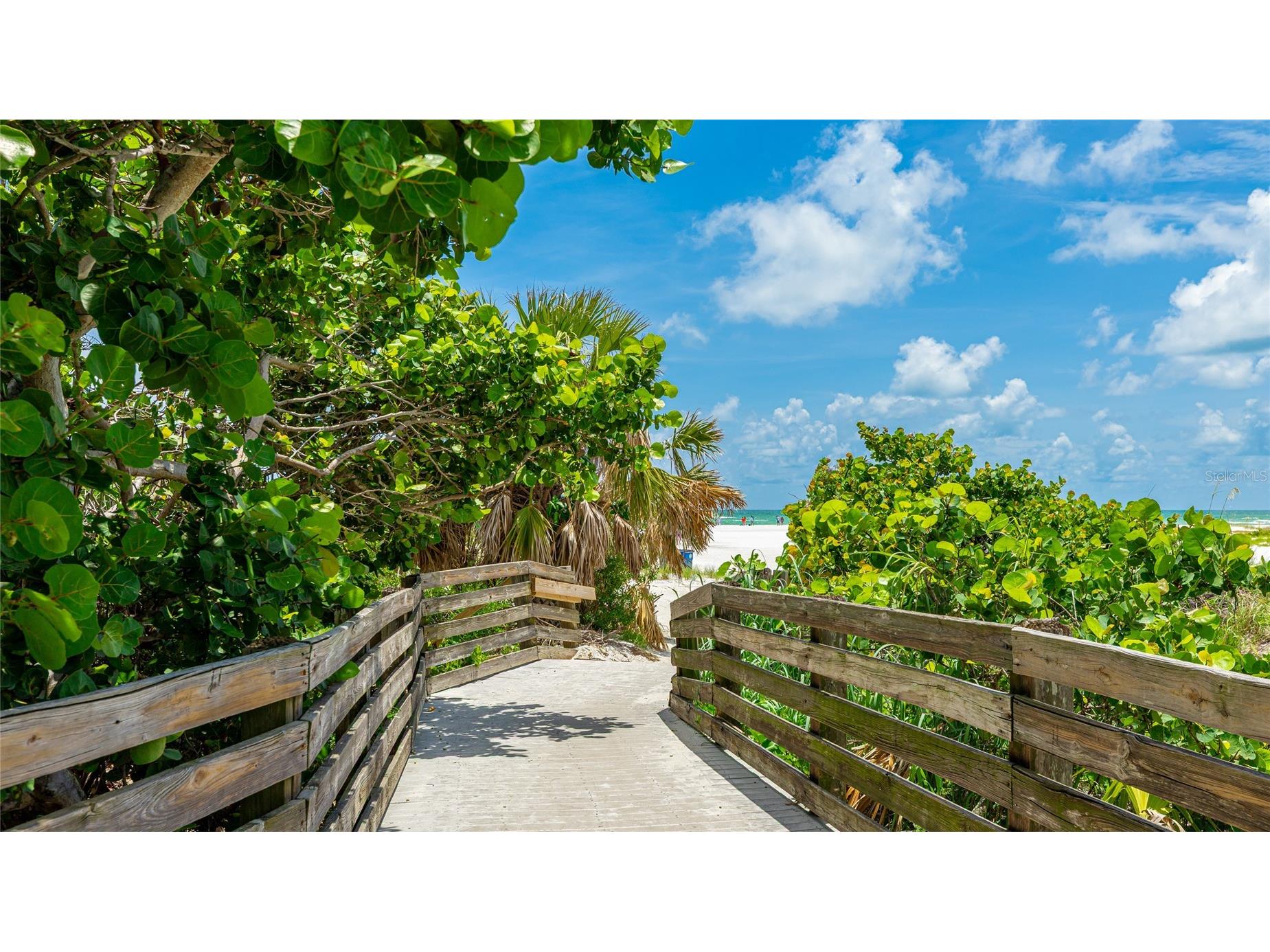 1504 Corfu Place Sarasota FL 34240 A4679984 image57