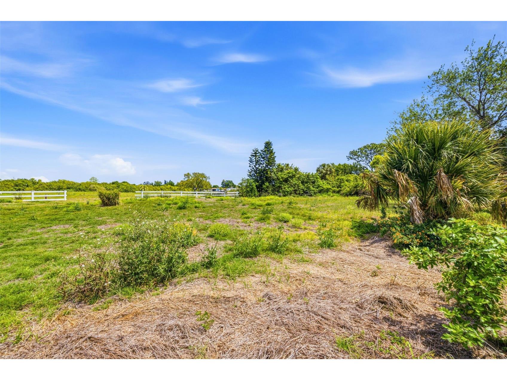 1504 Jackson Drive Holiday FL 34691 TB8488063 image10