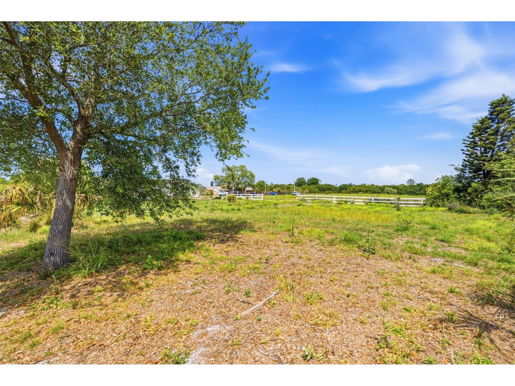 1504 Jackson Drive Holiday FL 34691 TB8488063 image11