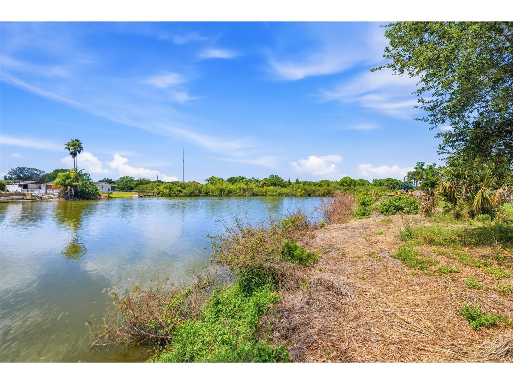 1504 Jackson Drive Holiday FL 34691 TB8488063 image12