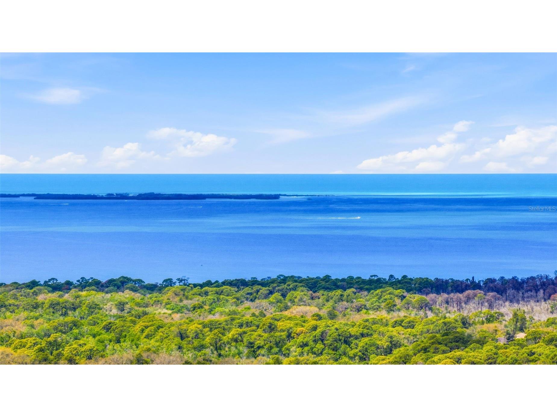 1504 Jackson Drive Holiday FL 34691 TB8488063 image16