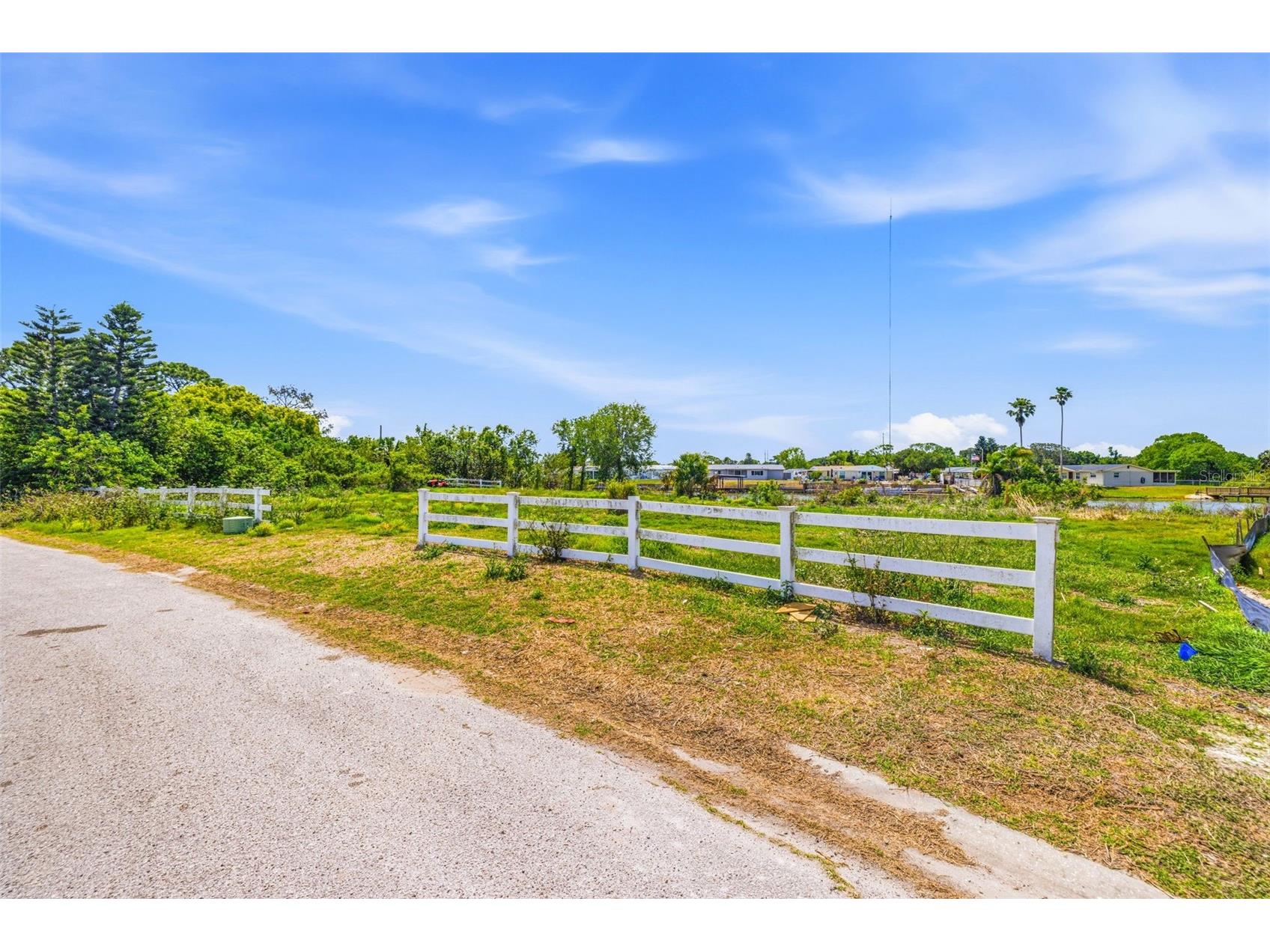 1504 Jackson Drive Holiday FL 34691 TB8488063 image3