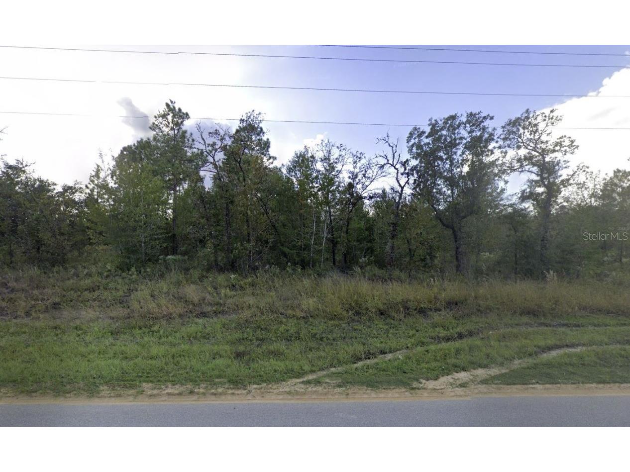 1504 Lakeview Trail Interlachen FL 32148 OK225440 image1