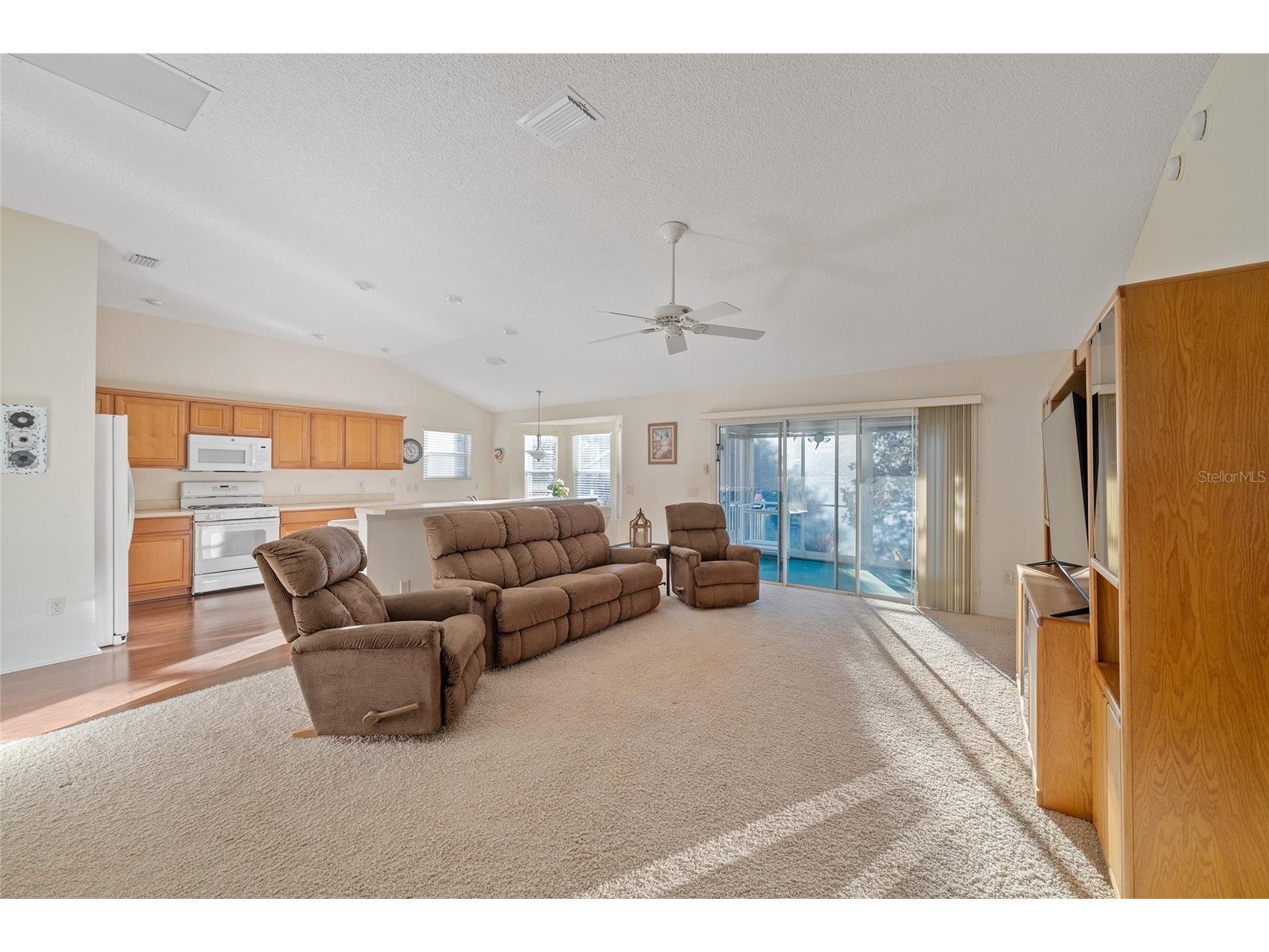 1504 Lynchburg Loop The Villages FL 32162 G5108035 image10