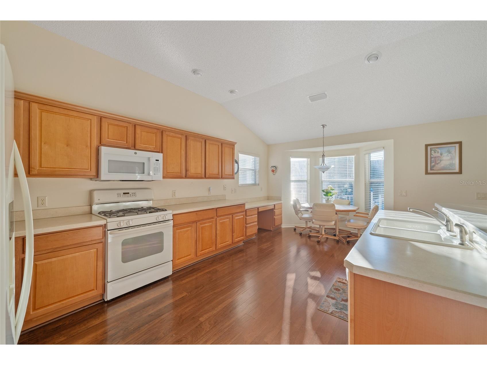 1504 Lynchburg Loop The Villages FL 32162 G5108035 image16