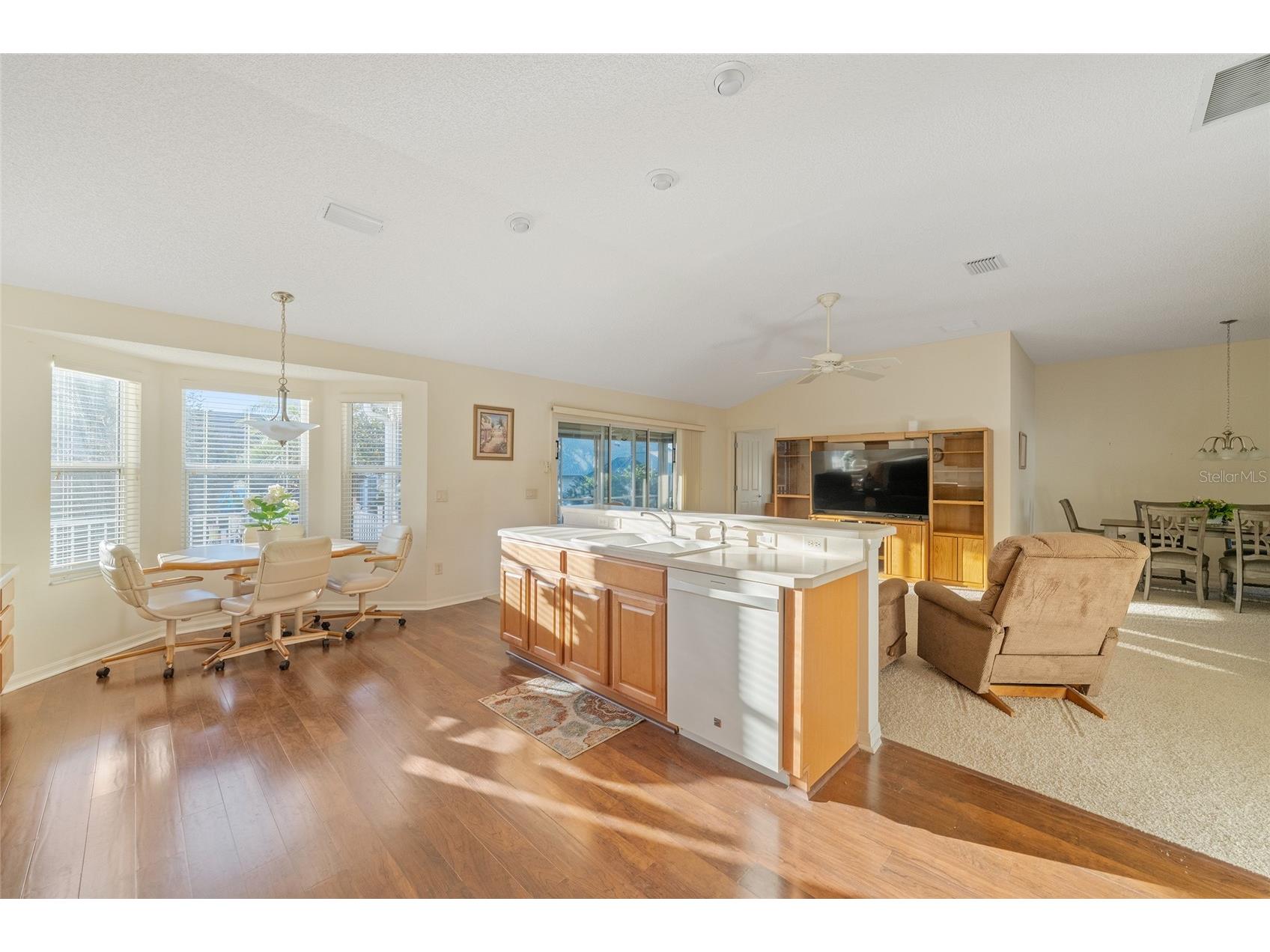 1504 Lynchburg Loop The Villages FL 32162 G5108035 image17