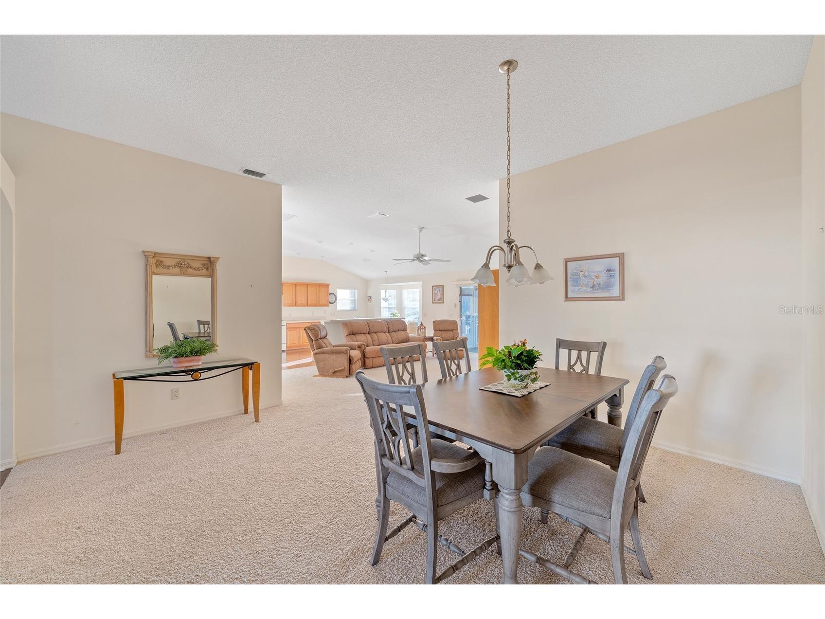 1504 Lynchburg Loop The Villages FL 32162 G5108035 image7