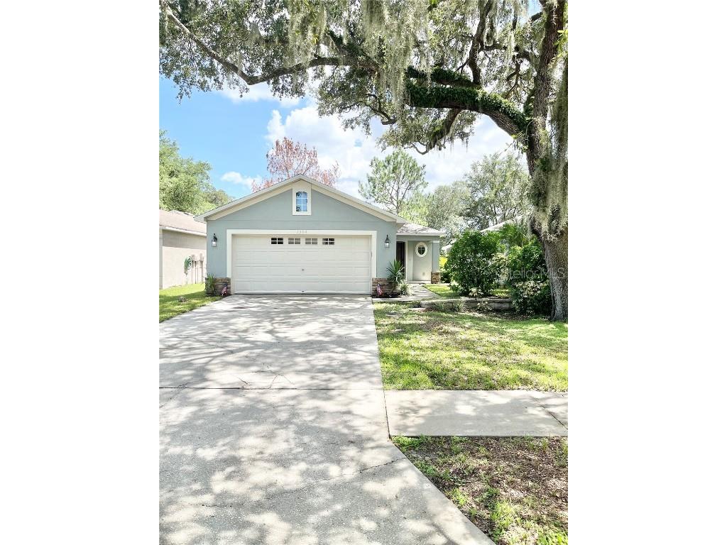 1504 Marsh Wood Dr Seffner FL 33584 T3544559 image1