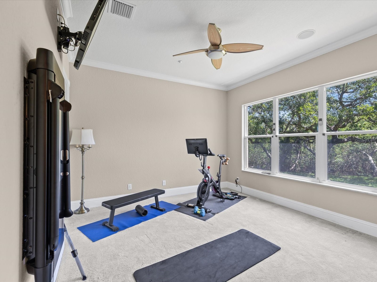 15041 Hardage Street Largo FL 33774 TB8510766 image39