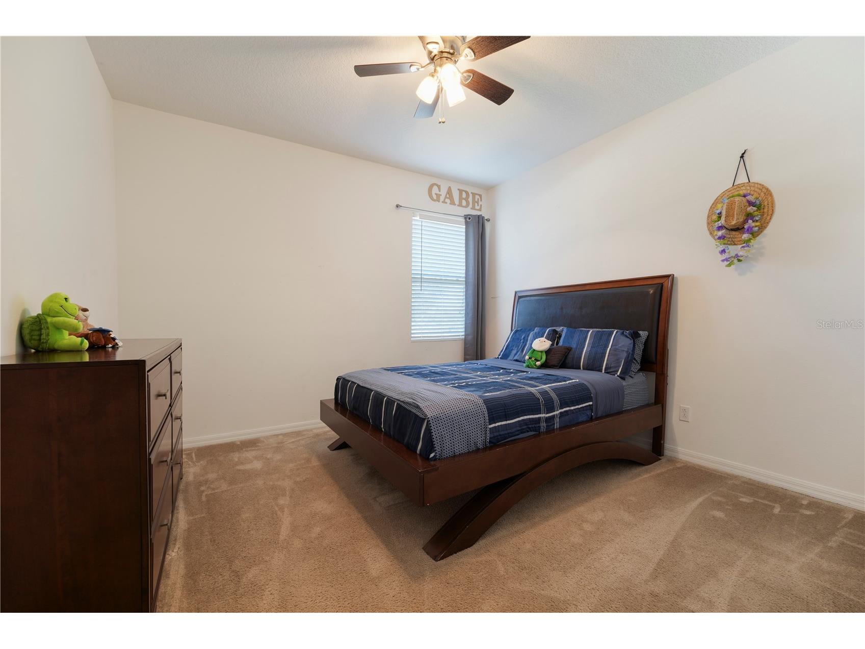 15043 Pigeon Plum Lane Winter Garden FL 34787 S5143009 image11