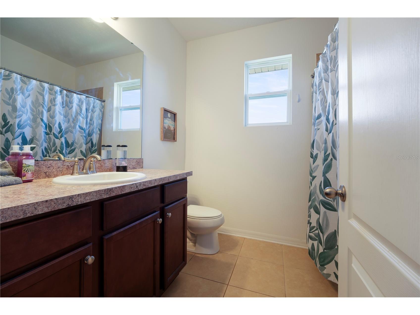 15043 Pigeon Plum Lane Winter Garden FL 34787 S5143009 image12