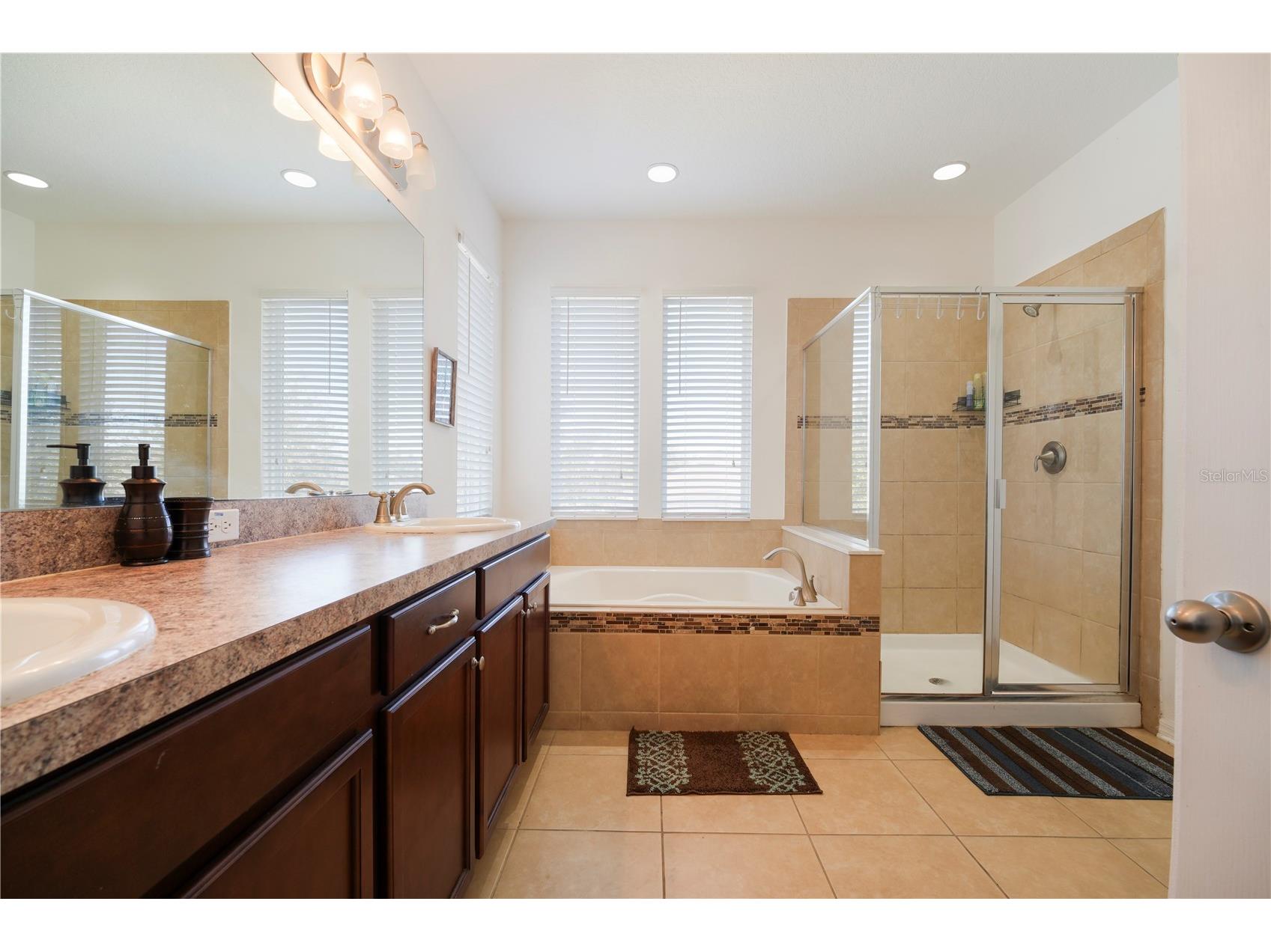 15043 Pigeon Plum Lane Winter Garden FL 34787 S5143009 image15