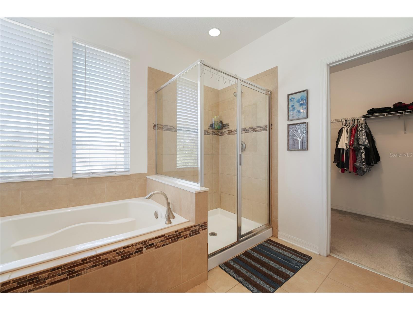 15043 Pigeon Plum Lane Winter Garden FL 34787 S5143009 image16