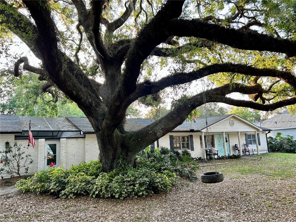 15044 Lake Magdalene Boulevard Tampa FL 33618 T3432114 image1