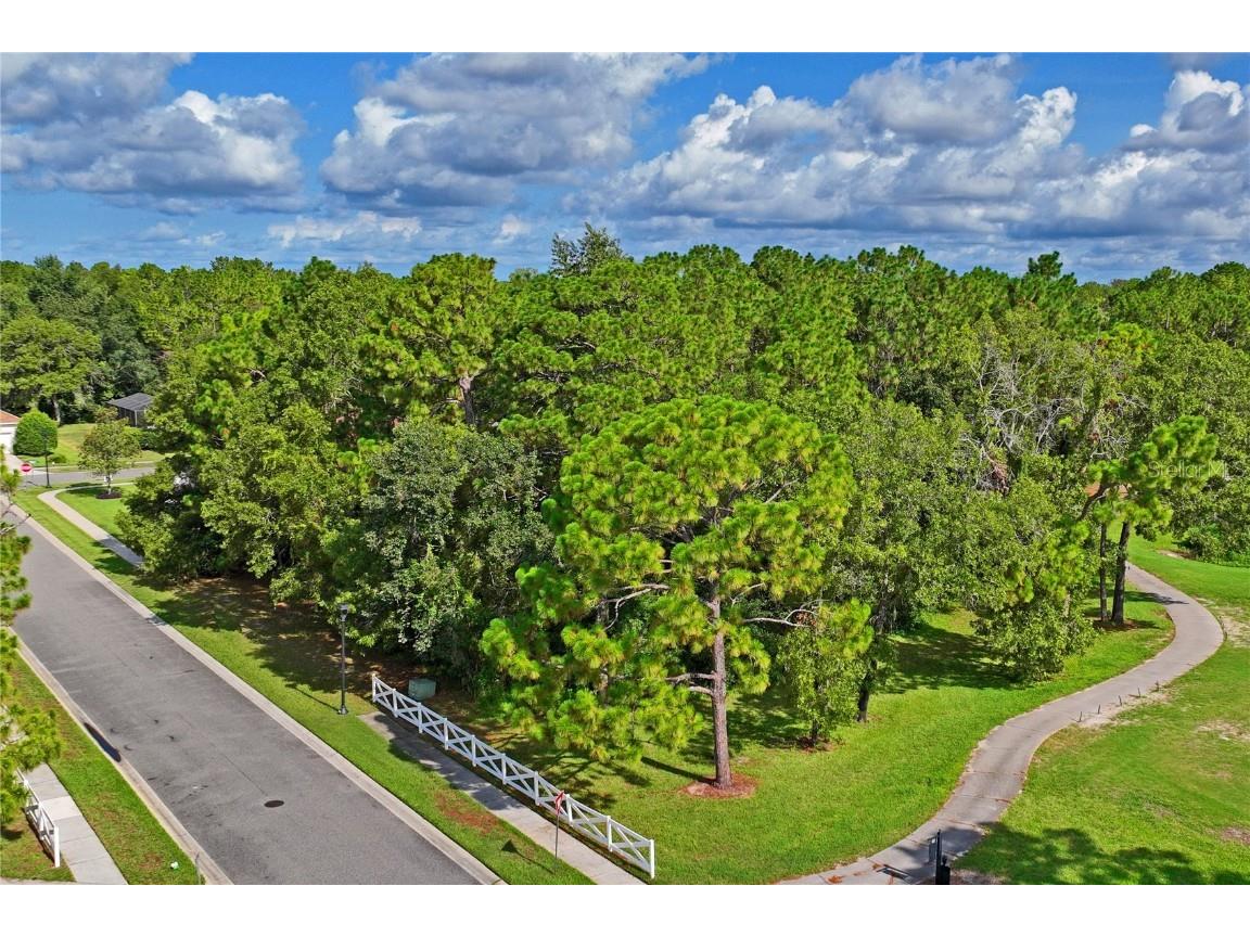 15049 Woodthorn Pass Brooksville FL 34609 W7877198 image1
