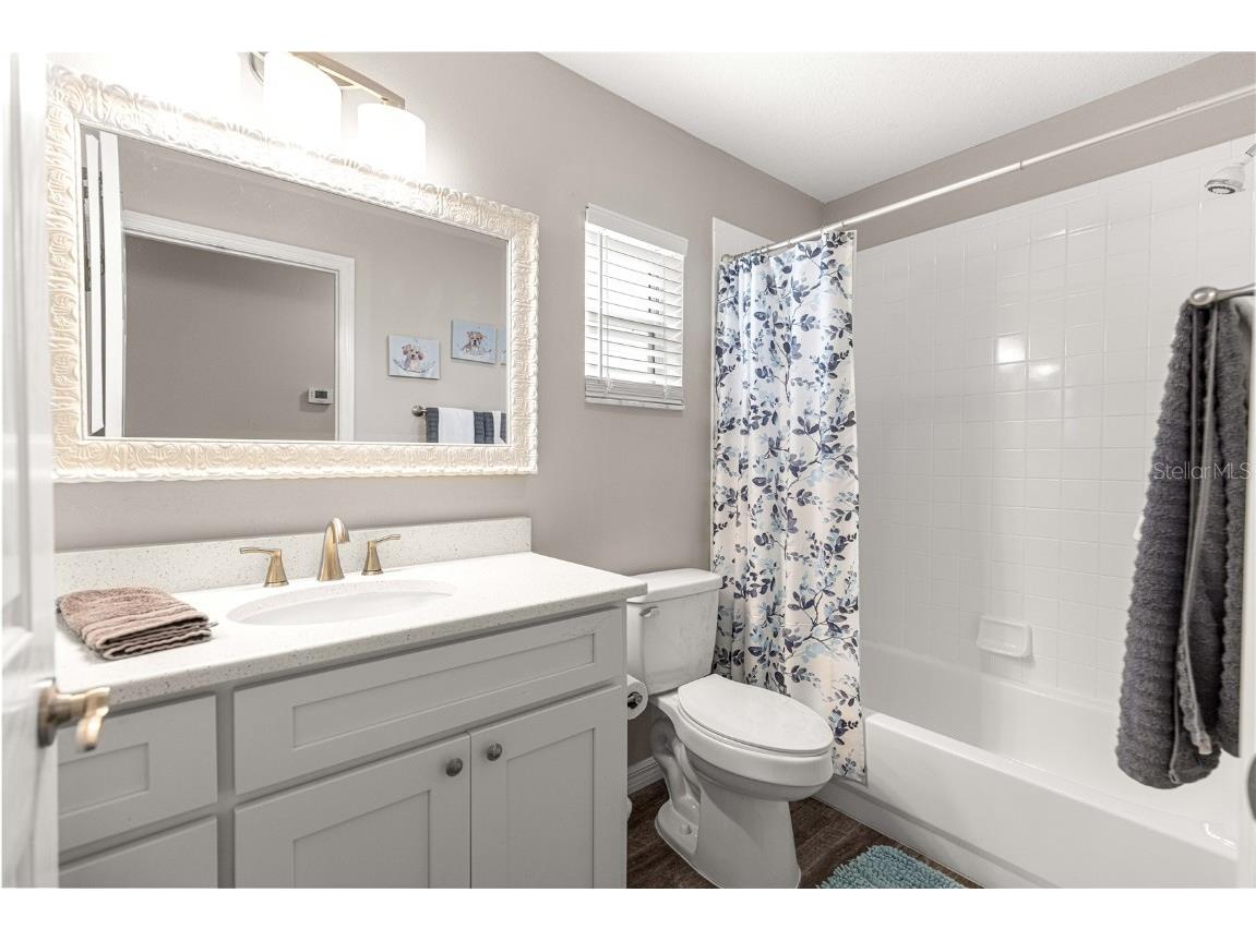 1505 Alcaraz Place The Villages FL 32159 G5104373 image21