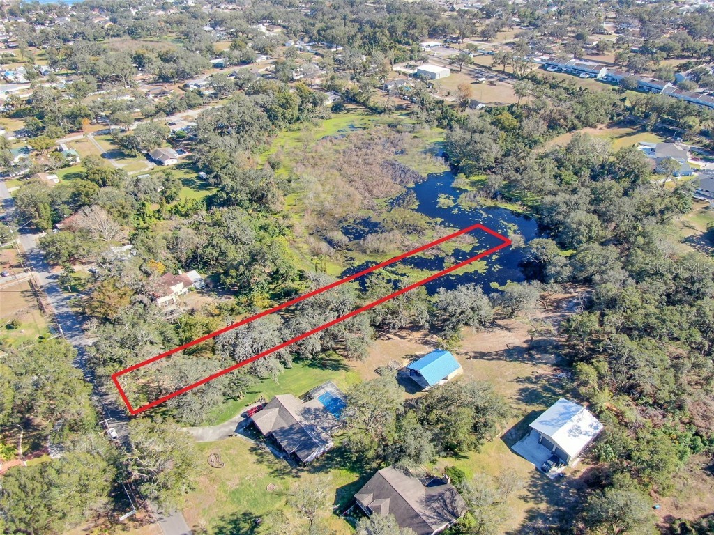 1505 Bates Street Brandon FL 33510 TB8343337 image1