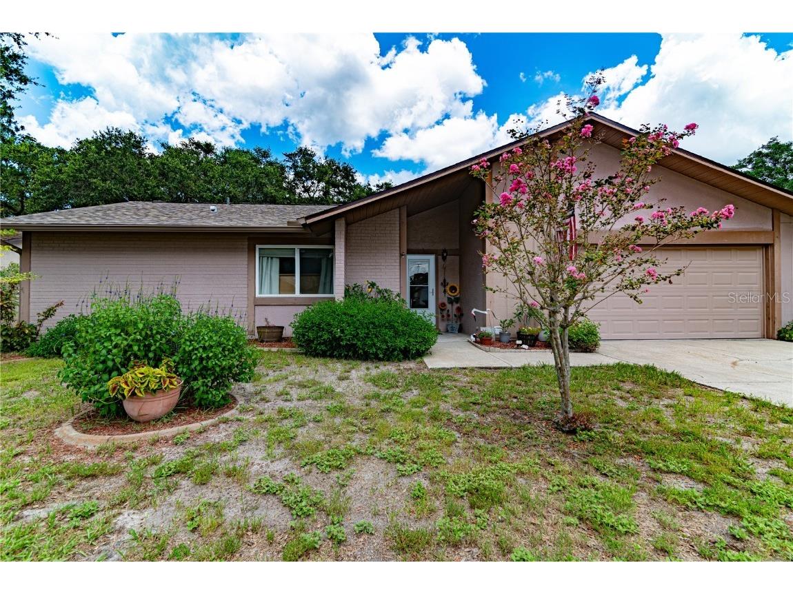 1505 Caird Way Palm Harbor FL 34683 U8252356 image1