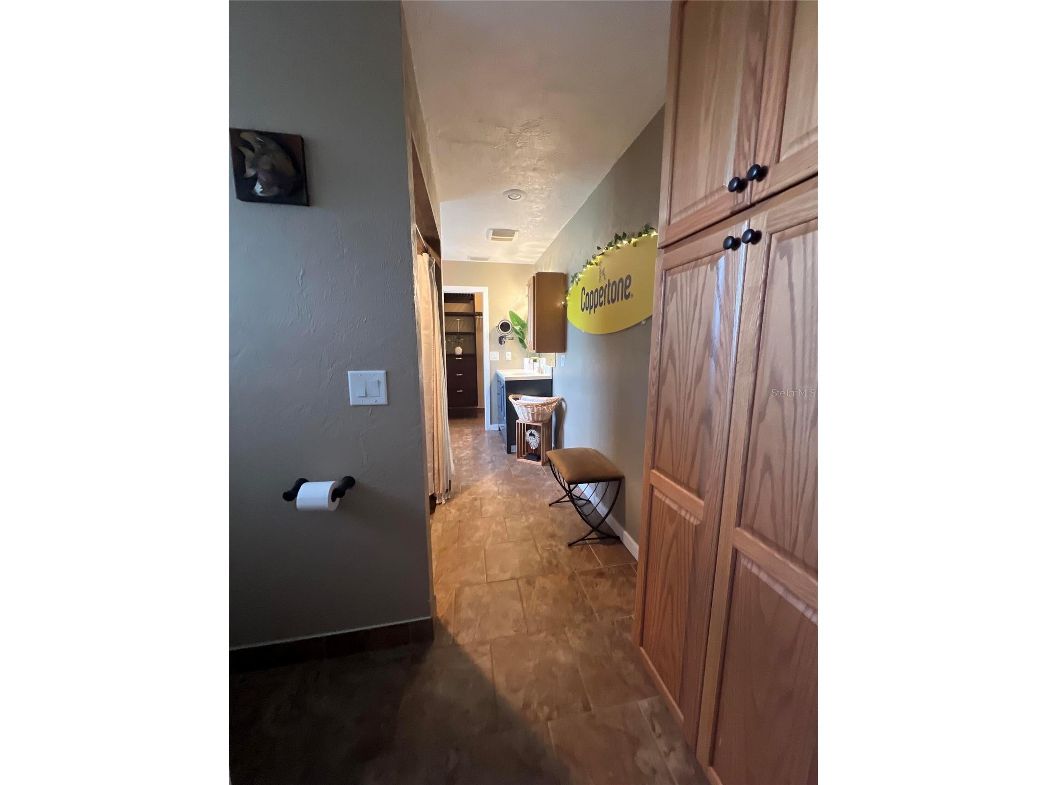 1505 Hontoon Road Deland FL 32720 O6413770 image37