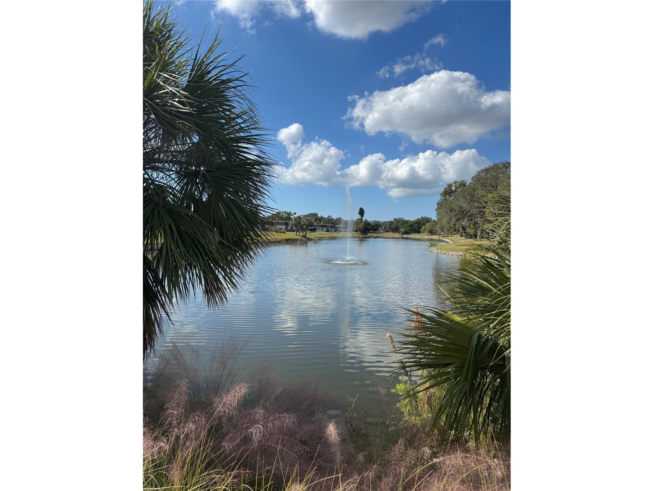 1505 Lakeside Way #153 Sarasota FL 34232 A4689160 image17