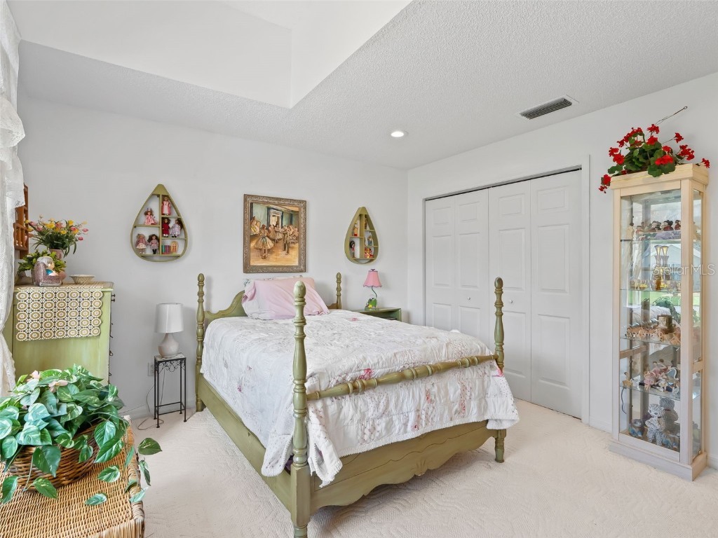 1505 Lavaca Lane The Villages FL 32159 G5102401 image22