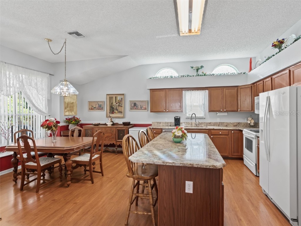 1505 Lavaca Lane The Villages FL 32159 G5102401 image9