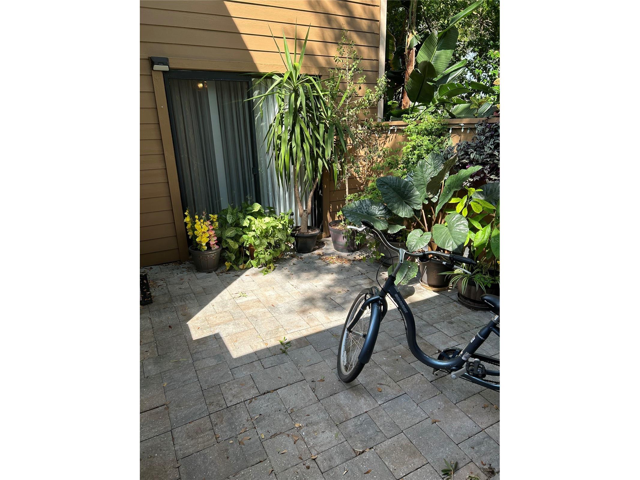 1505 Lennox Road E #1505 Palm Harbor FL 34683 TB8518788 image15