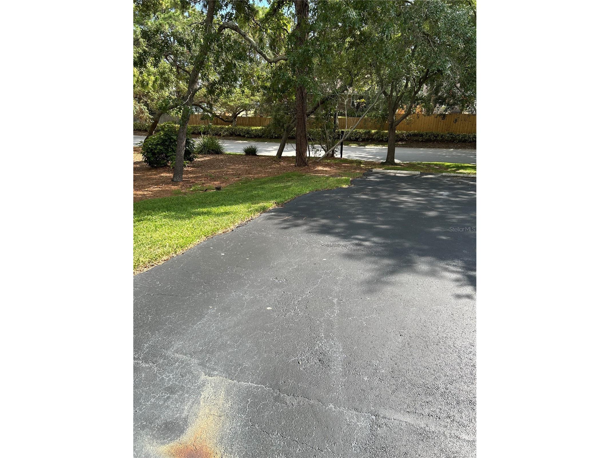 1505 Lennox Road E #1505 Palm Harbor FL 34683 TB8518788 image2