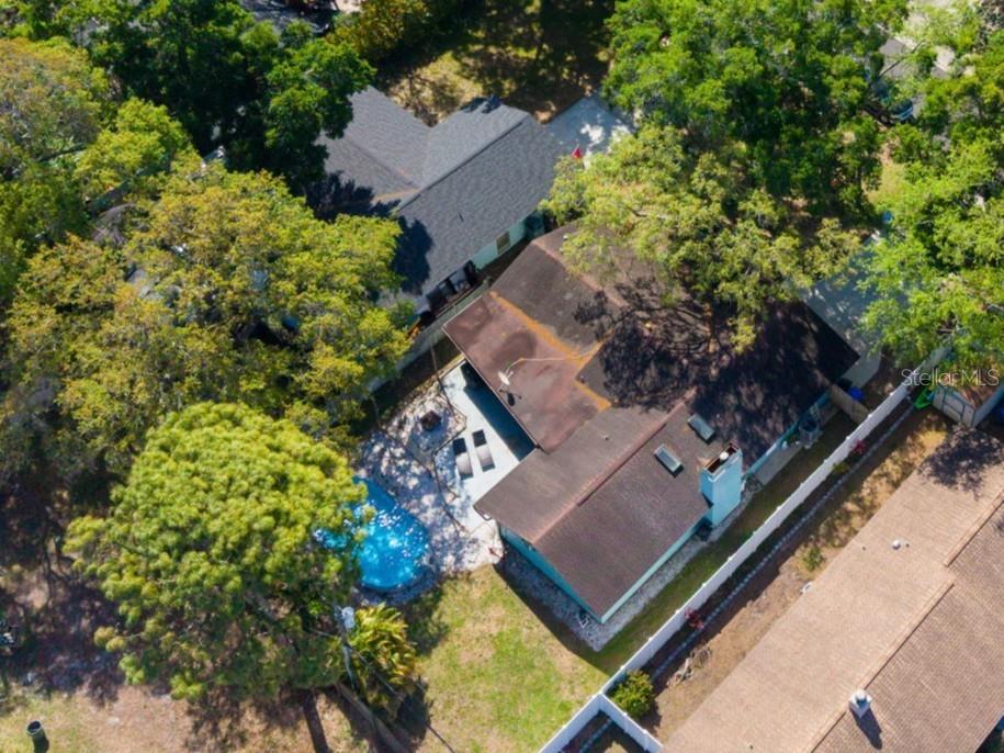 1505 Michigan Avenue Palm Harbor FL 34683 TB8496323 image52