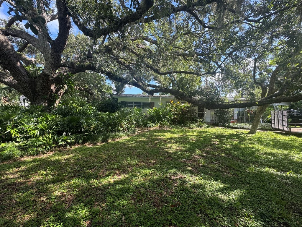 1505 N Oregon Circle Tampa FL 33612 TB8403135 image1