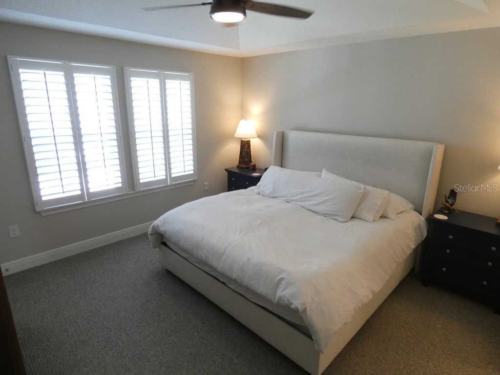 1505 Sunset Wind Loop Oldsmar FL 34677 W7883526 image20