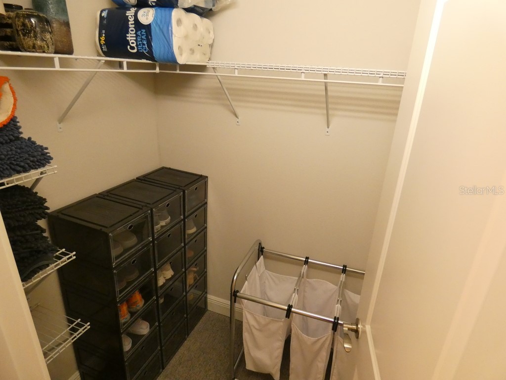 1505 Sunset Wind Loop Oldsmar FL 34677 W7883526 image23