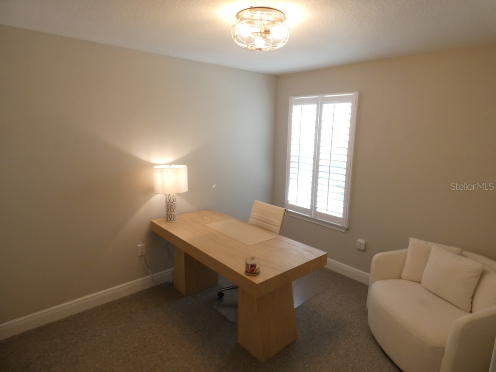 1505 Sunset Wind Loop Oldsmar FL 34677 W7883526 image28