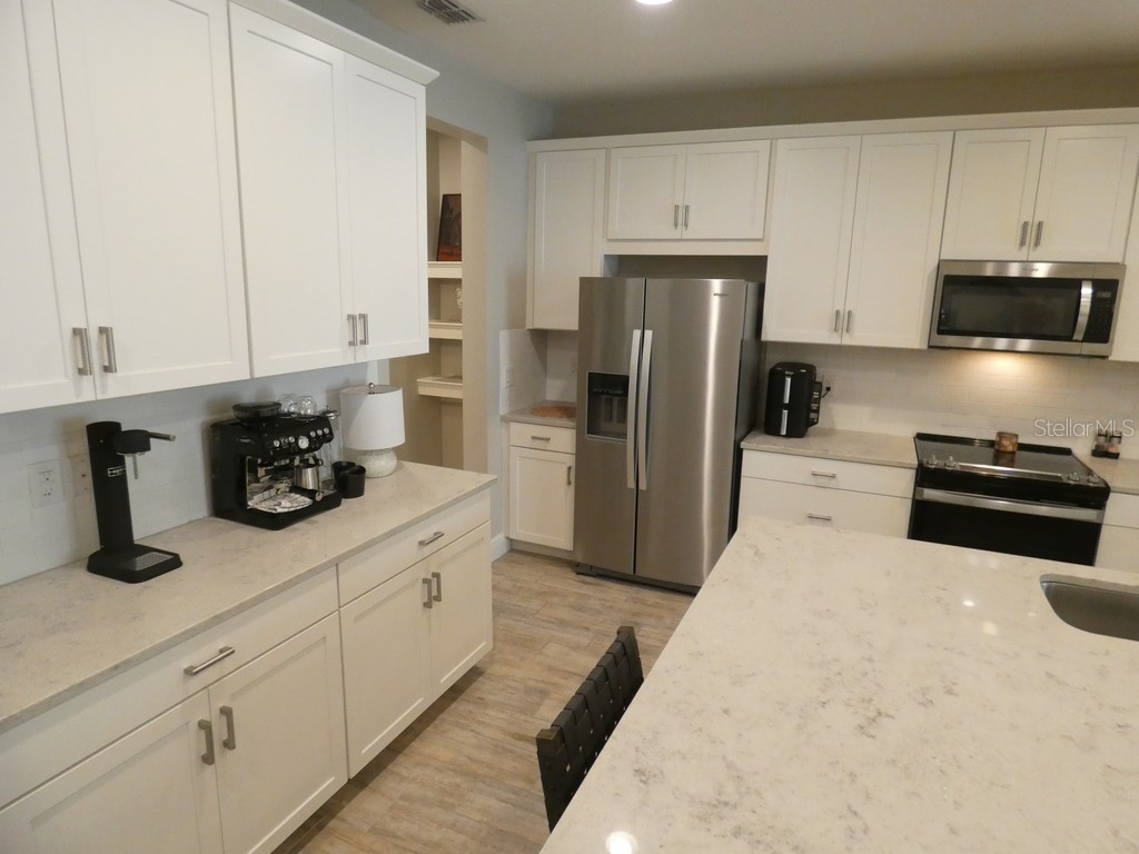 1505 Sunset Wind Loop Oldsmar FL 34677 W7883526 image4