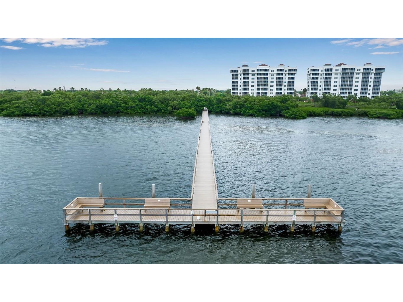 1505 Terra Ceia Bay Circle #0 Palmetto FL 34221 A4668835 image67