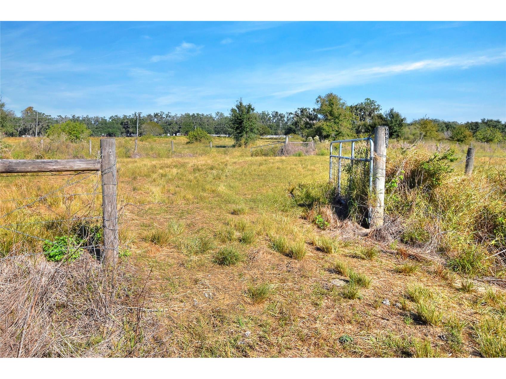 1505 W 60 Highway Plant City FL 33567 TB8461509 image26