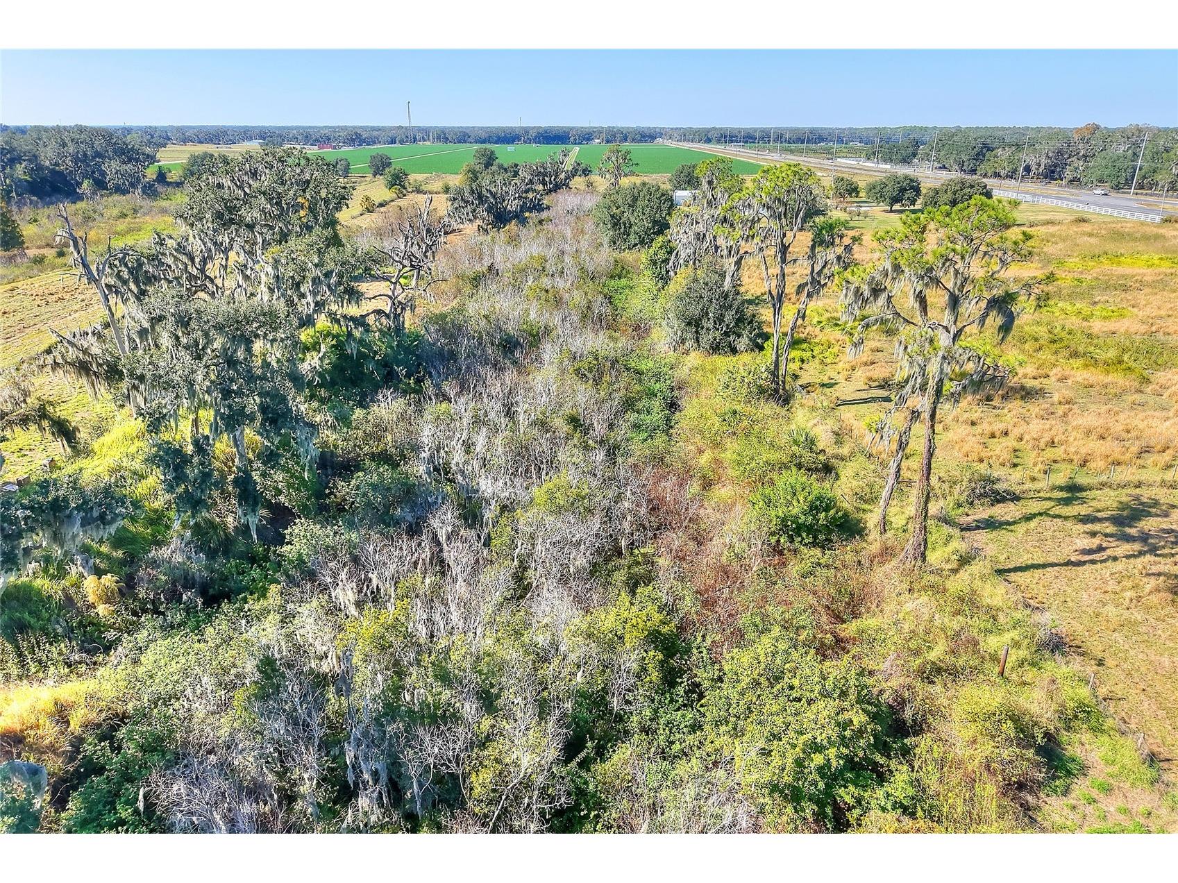 1505 W 60 Highway Plant City FL 33567 TB8461609 image3