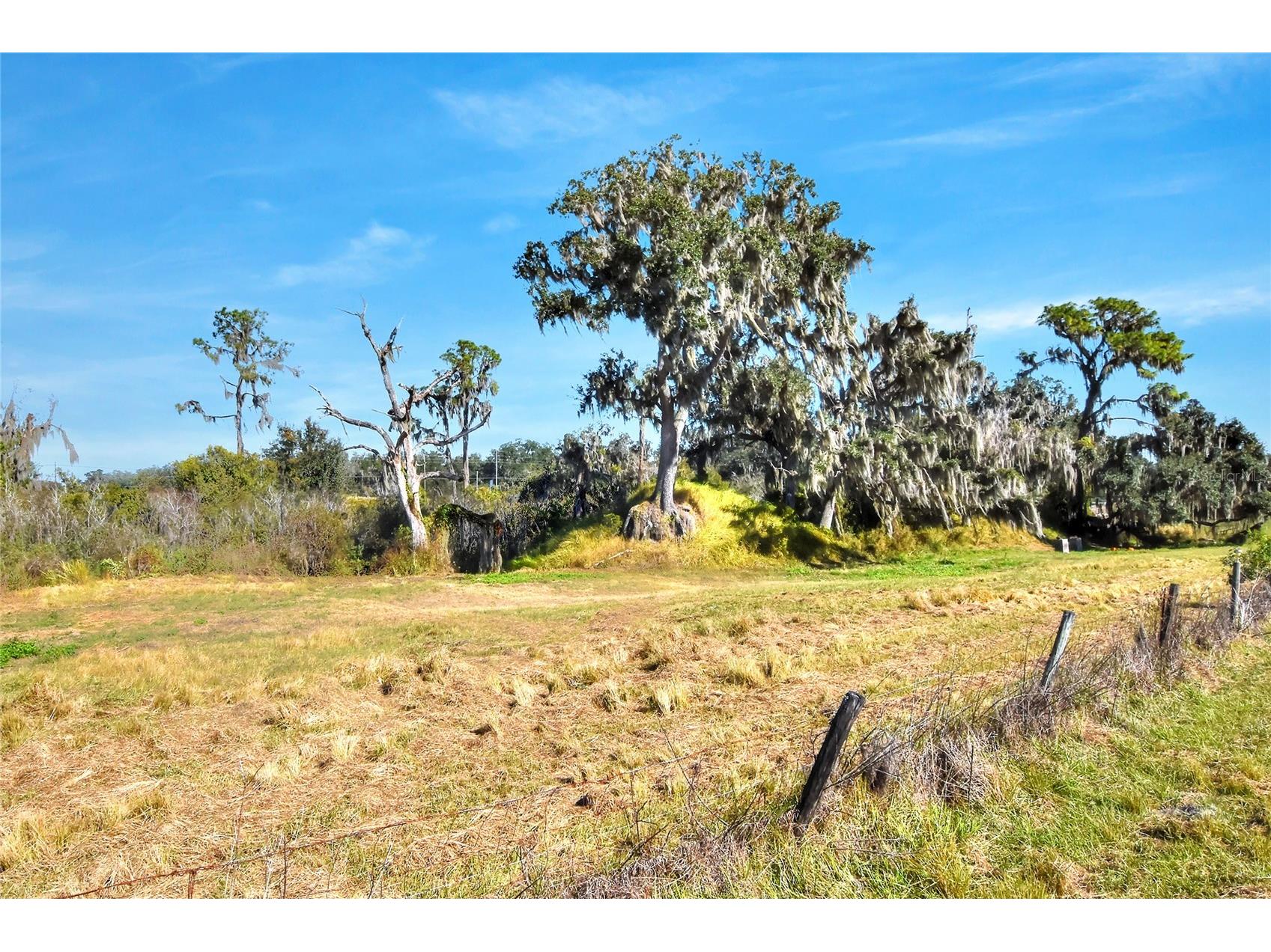 1505 W 60 Highway Plant City FL 33567 TB8461609 image4