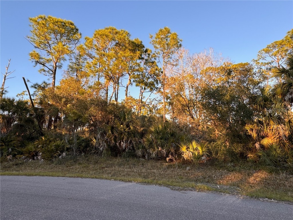 15050 Cannell Lane Port Charlotte FL 33953 D6134683 image1