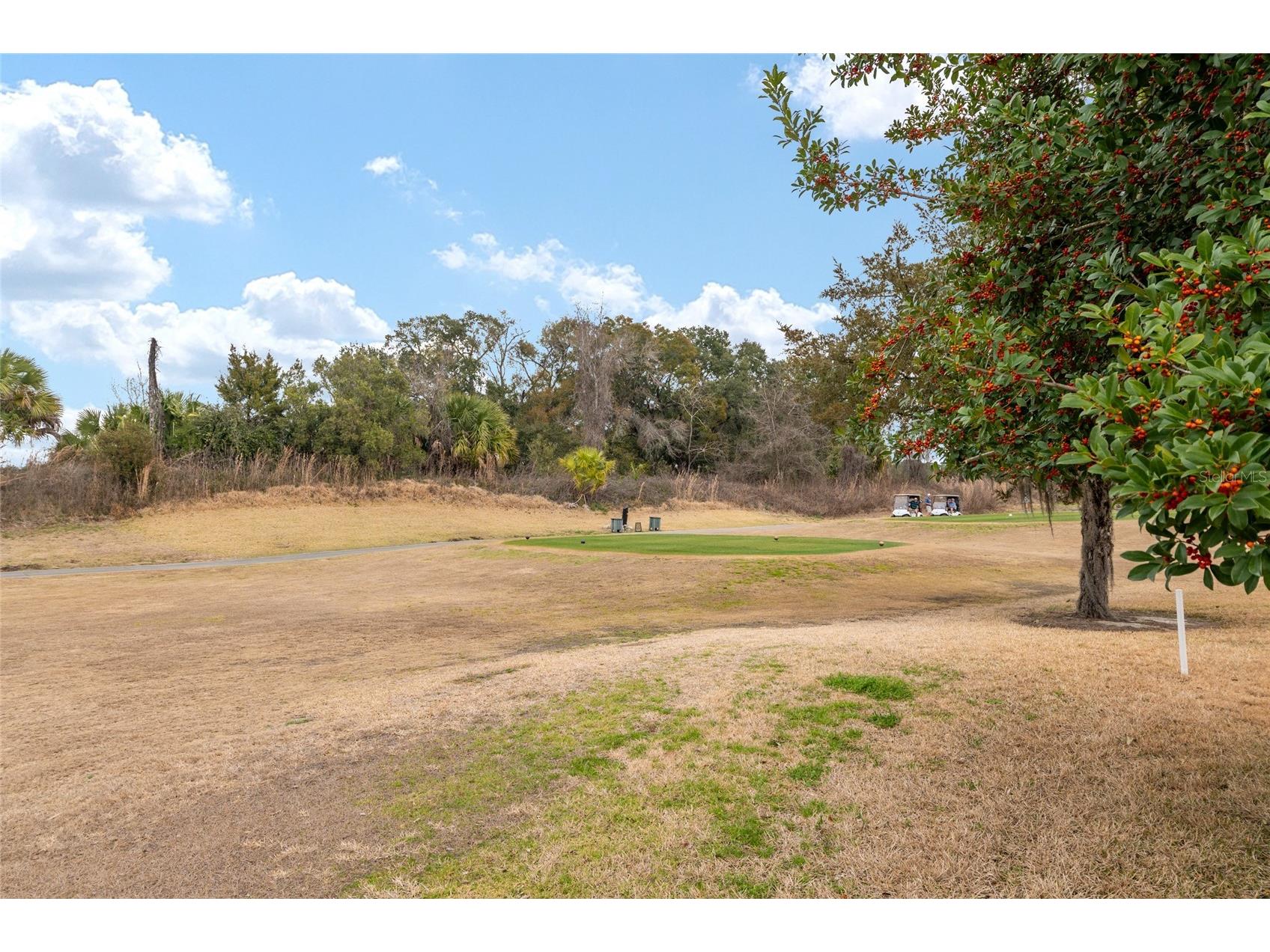 15050 SW 14th Avenue Road Ocala FL 34473 OM718651 image57