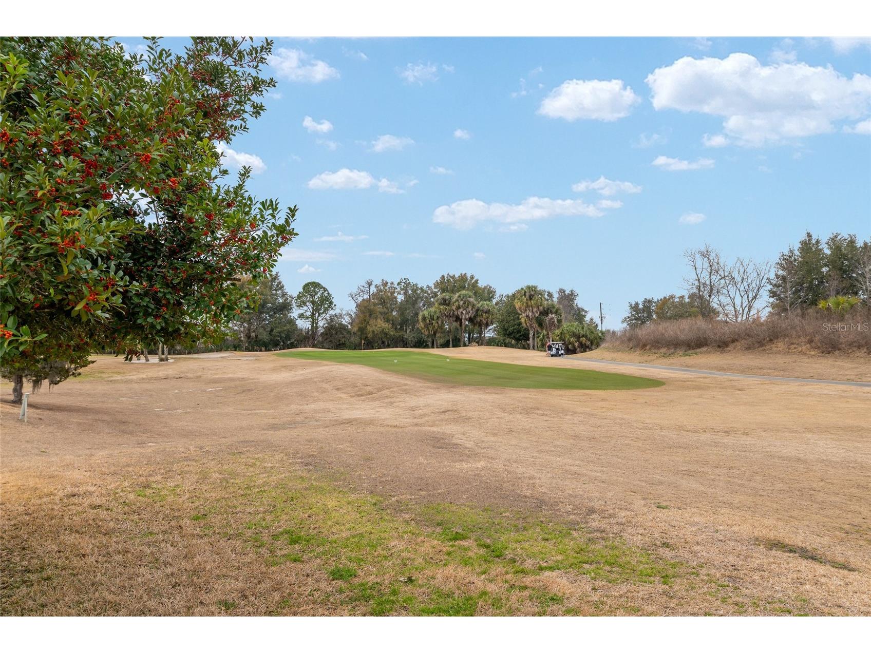 15050 SW 14th Avenue Road Ocala FL 34473 OM718651 image59