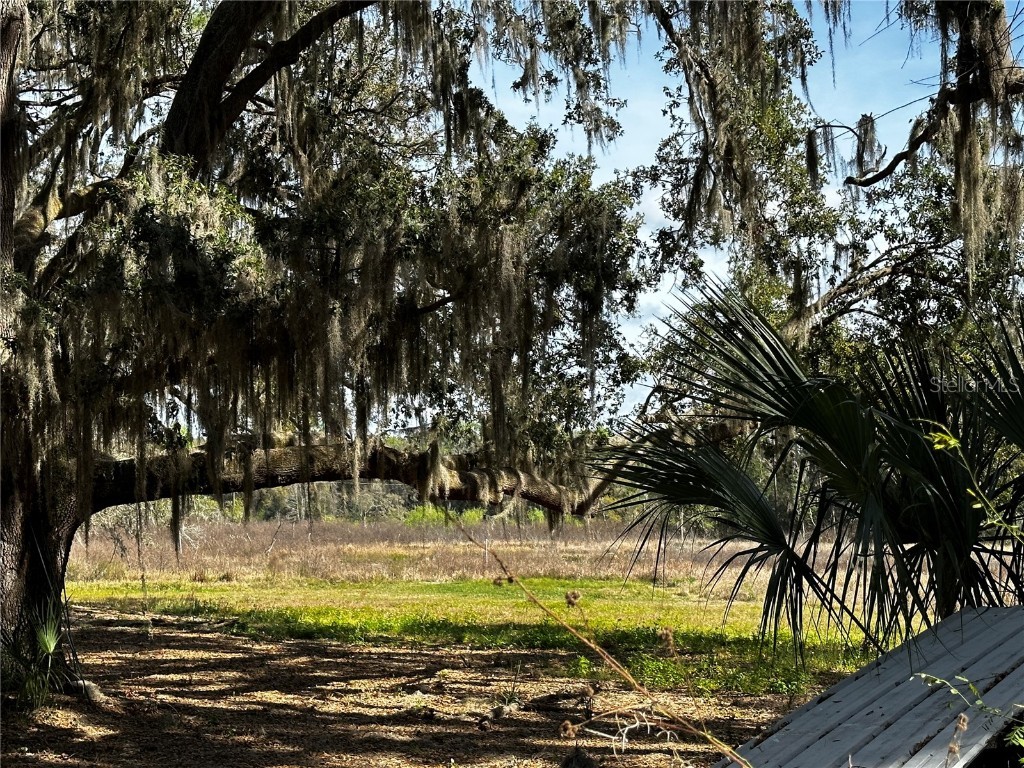 15055 SE 140th Court Road Weirsdale FL 32195 - LAKE WEIR OM653622 image1