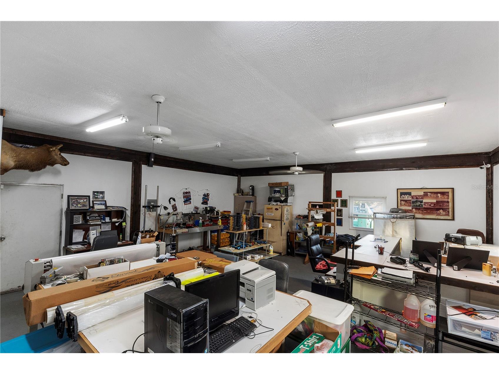 15058 Balm Road Wimauma FL 33598 GC541824 image7
