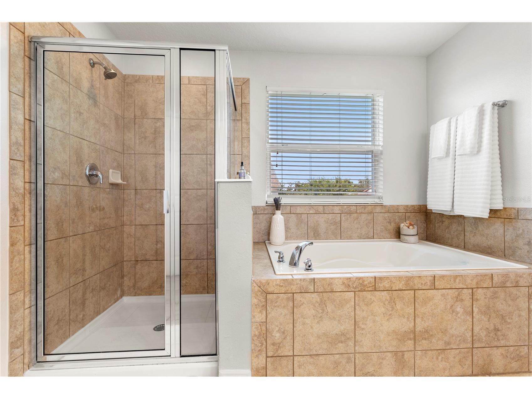 15058 Sawgrass Bluff Drive Winter Garden FL 34787 O6396640 image12