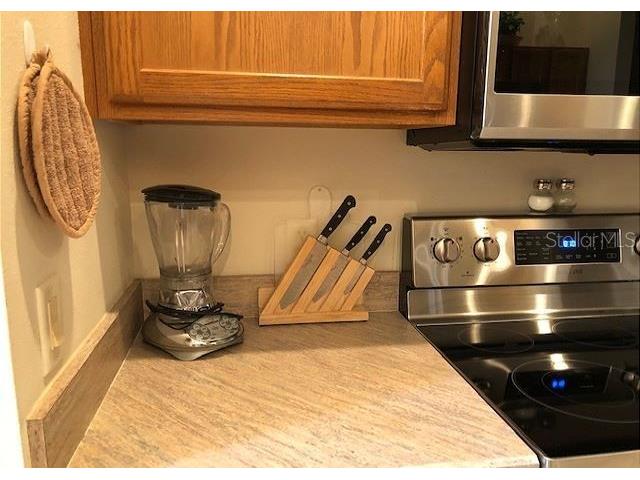 1506 Alcaraz Place The Villages FL 32159 OM705568 image24