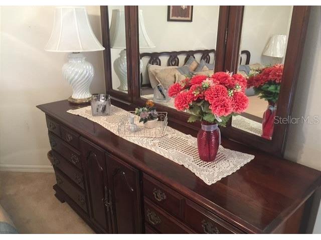 1506 Alcaraz Place The Villages FL 32159 OM705568 image40