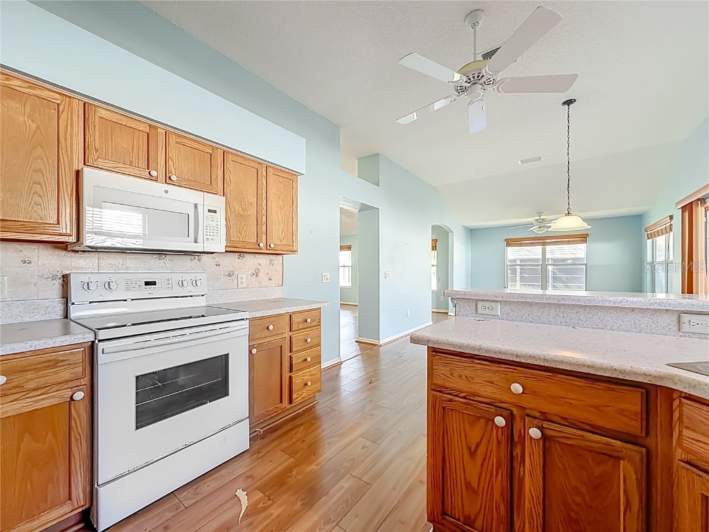 1506 Dellano Way The Villages FL 32159 TB8436860 image21