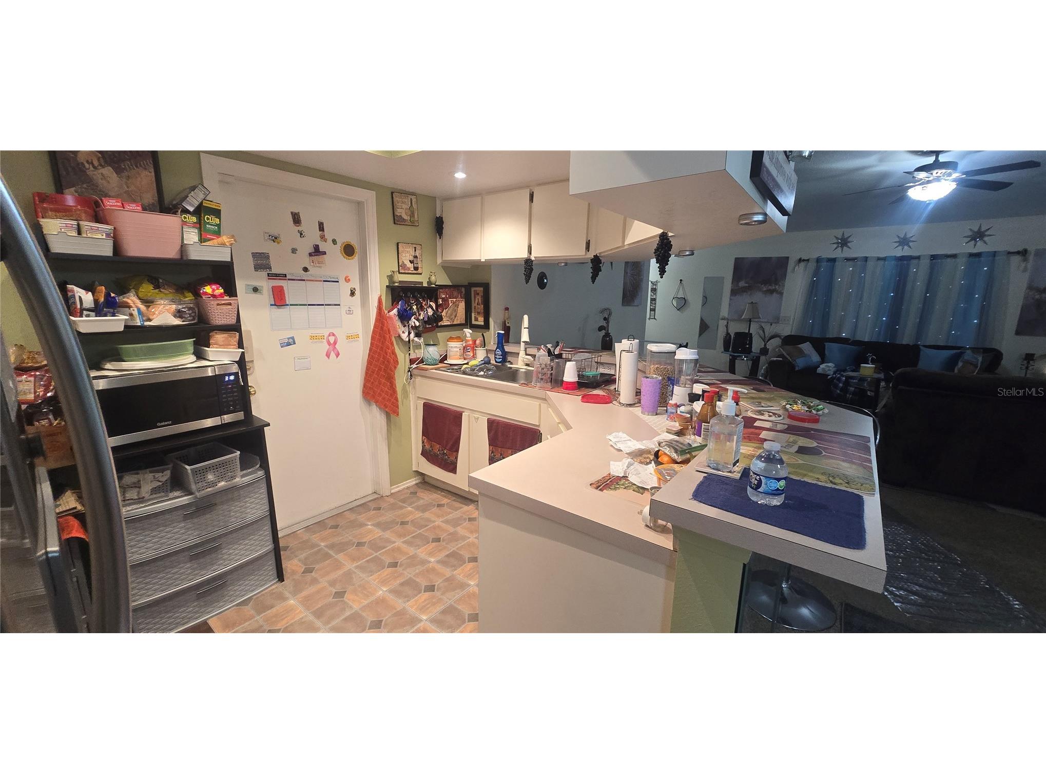 1506 E 28th Avenue Tampa FL 33605 O6385126 image36