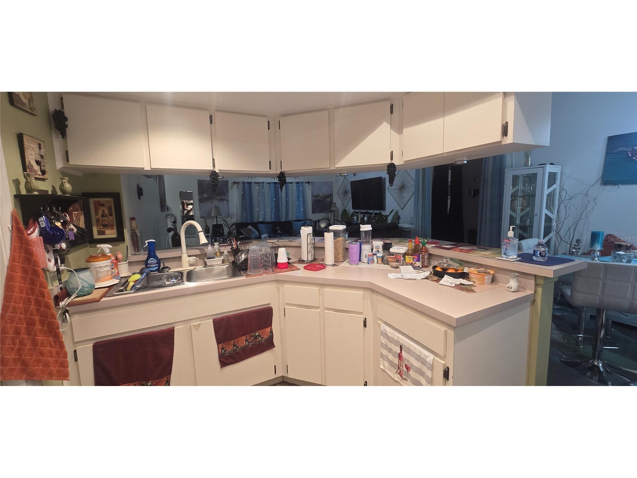 1506 E 28th Avenue Tampa FL 33605 O6385126 image38