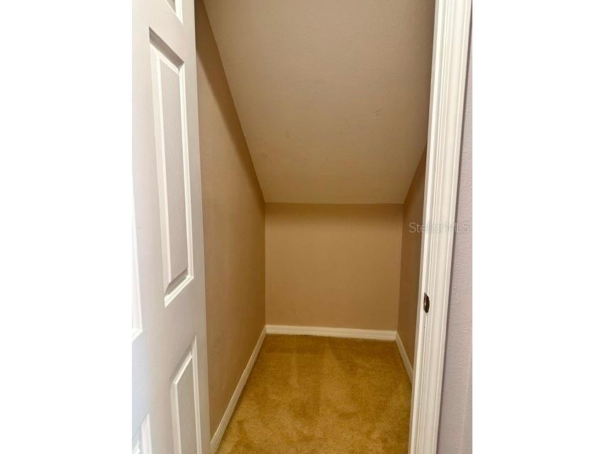 1506 Hillview Lane Tarpon Springs FL 34689 TB8484381 image19